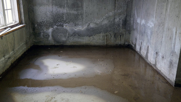 Water pooling in a concrete basement.