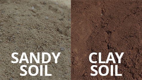 sandy and clay soil